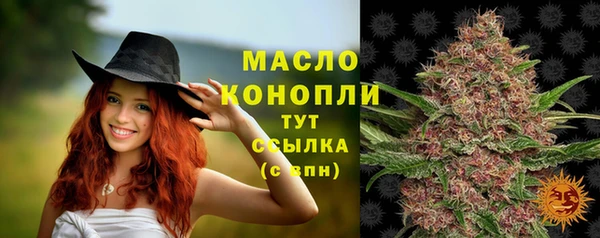 гидра Дмитриев