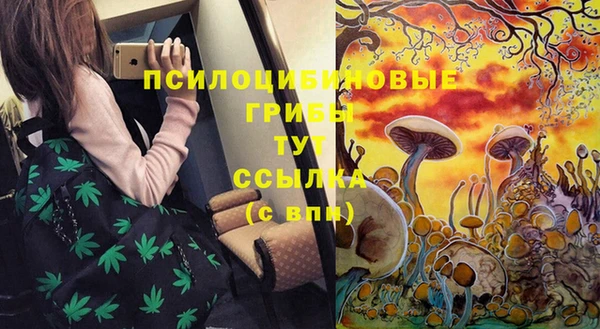 гидра Дмитриев
